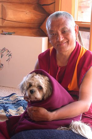 Lama Zopa Rinpoche: Gli svantaggi della rabbia e dell'attaccamento.