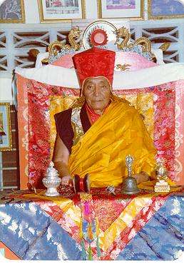 Dezhung Rinpoche Kunga Tanpa'i Nyima: Everything that we experience is simply appearance; it has no intrinsic reality, and when we come to understand this, then we understand buddha nature, and we have become free from suffering. 