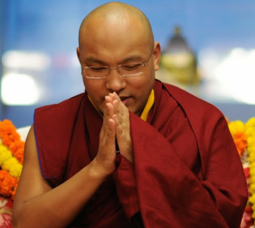 Sua Santità Gyalwang Karmapa: La nostra aspirazione a raggiungere la Buddità non deve essere fatta solo di parole.
