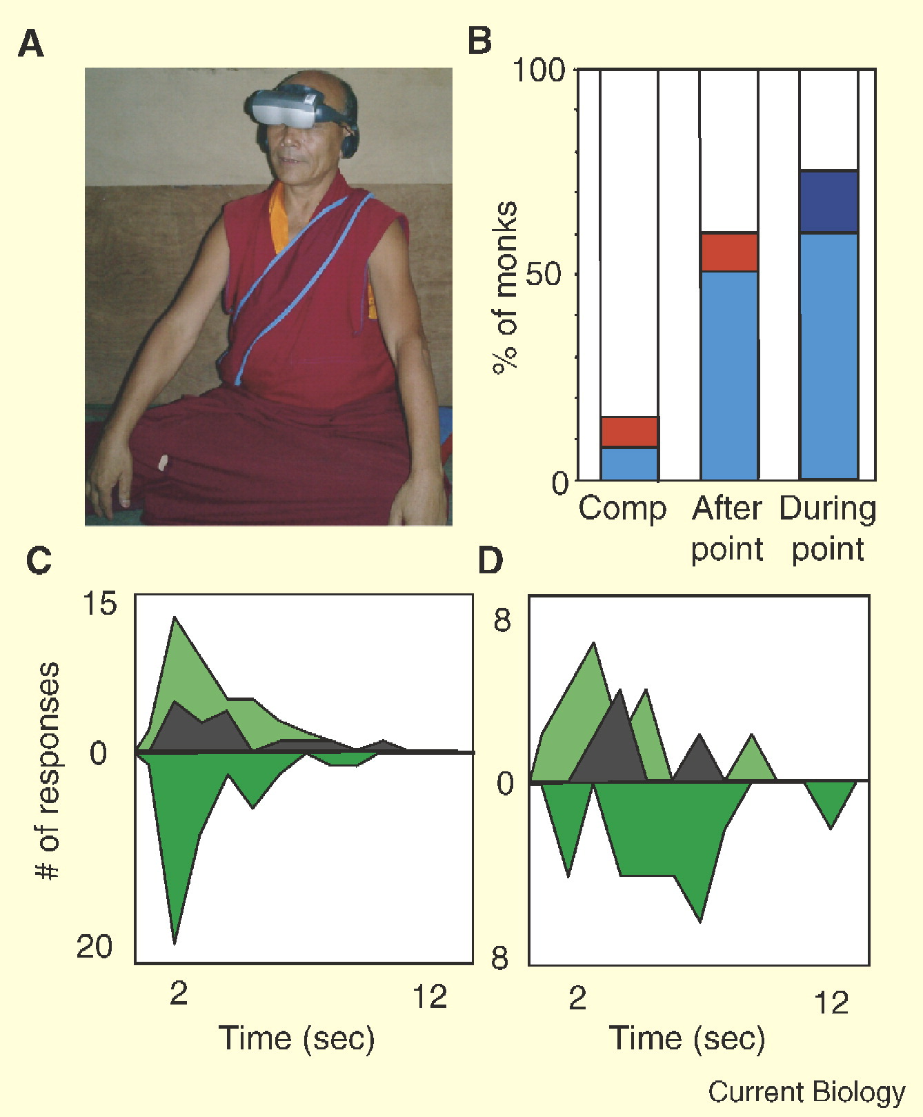 Effects of meditation on perceptual switching