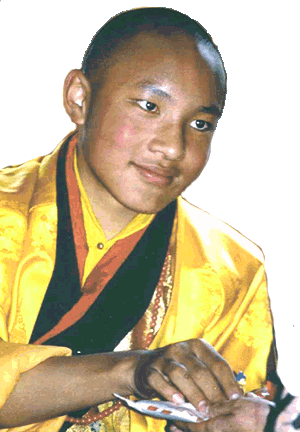 17th Karmapa, Ogyen Trinley Dorje