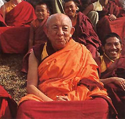 Tsenciab Serkong Rinpoche: Come primo passo verso lo sviluppo di una finalità di bodhicitta, dobbiamo promettere fortemente che non nuoceremo a nessun essere. 