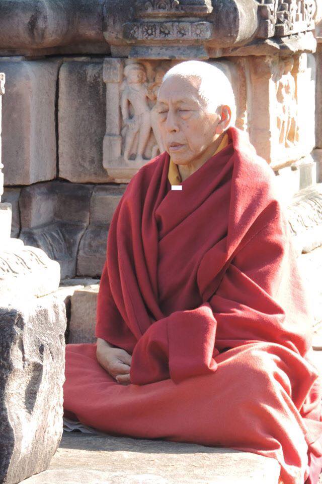 Il Ven. Prof. Samdhong Rinpoche in meditazione.