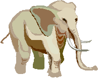 elefante