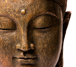 bhudd Buddha Sakyamuni, Ananda Sutra: “Così si esercita: inspirando sperimenta la gioia, espirando sperimenta la gioia. Così si esercita: inspirando sperimenta i processi mentali, espirando sperimenta i processi mentali. Così si esercita: inspirando calma i processi mentali, espirando calma i processi mentali ...”