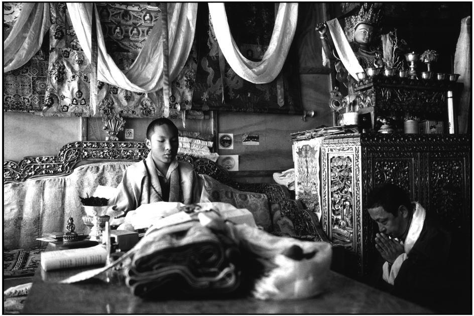 XVII Karmapa: "Vi sono tre precetti relativi al Bodhicitta: astenersi dal commettere azioni negative, accumulare azioni positive e adoperarsi per il bene degli altri".