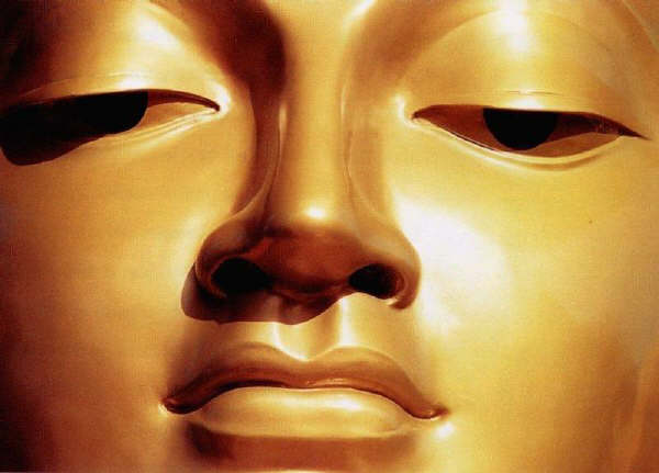Buddha Sakyamuni: “L’uomo saggio, concretamente addestrato nella pratica del retto insegnamento, rimane equanime di fronte alle sensazioni gradevoli e sgradevoli che sorgono nella sua persona”.