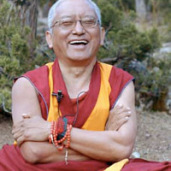 Lama Zopa Rinpoche: La liberazione degli animali non è una pratica limitata solo a voi stessi..