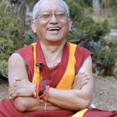 lamazoparinpoche Lama Zopa Rinpoche: La liberazione degli animali non è una pratica limitata solo a voi stessi..