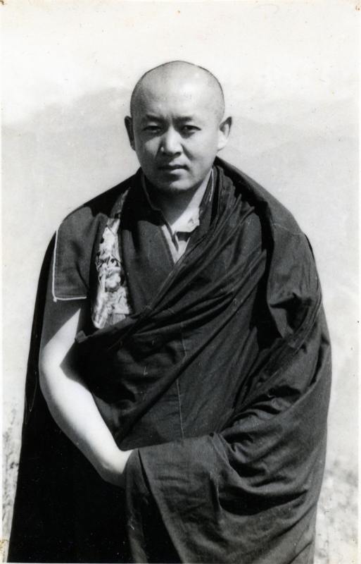 Sua Santità Drikung Kyabgon Chetsang Rinpoche: La meditazione Shinè è solo semplice consapevolezza, focalizzata in modo determinato ma calmo su un oggetto. 