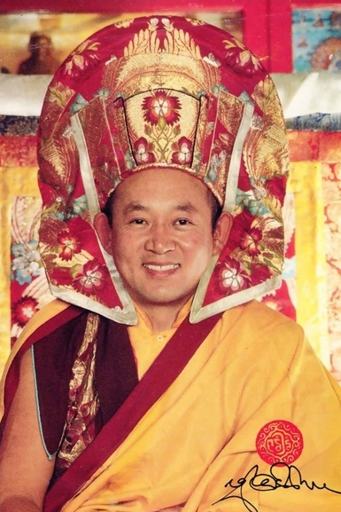 Sua Santità Drikung Kyabgon Chetsang Rinpoche: Guardiamo il modo in cui mente risponde ai fenomeni. 