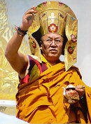 Sua Santità Drikung Kyabgon Chetsang Rinpoche: Lo scopo di questa analisi consiste nel determinare la natura della mente. 