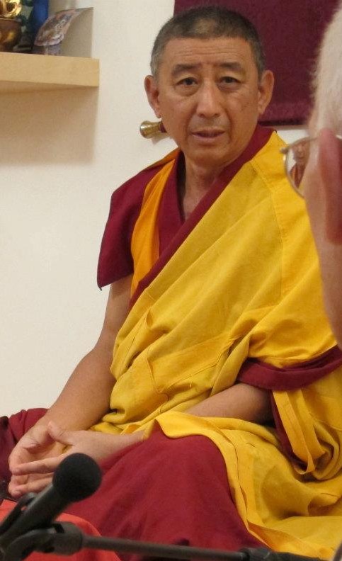 Ven. Geshe Thubten Soepa: Try to find methods for redressing the harm caused by eating meat. The best means of purifying it is to save the life of animals.
