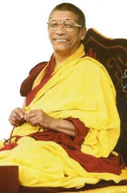 Ghesce Rabten Rinpoche: Il termine samsara è usato metaforicamente per indicare un luogo, un paese o un pianeta, ma la vera esistenza ciclica è precisamente questo processo di essere sbattuti fra piacere o dolore, ricchezza e povertà, malattia e salute, morte e nascita e così via.