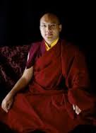 S.S. Karmapa: La richiesta al Buddha di girare la ruota del Dharma è il rimedio contro l'illusione, l'ignoranza.