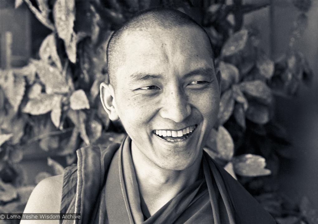 lz Kyabje Lama Zopa Rinpoche: Our practice of meditation, of mental cultivation, should not be passive.