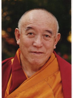 il grande Maestro Kyabje Denma Locho Rinpoche