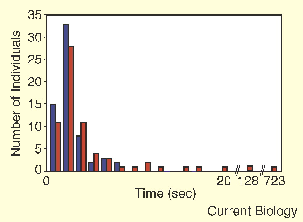 Figure 2. Frequency of respective disappearance intervals during motion-induced blindness for monks tested in the current study (red) compared to a group of 61 meditation-naive volunteers (blue). 