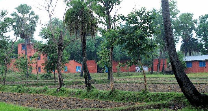 La scuola del Progetto Alice tra i meravigliosi palmeti del Bihar 