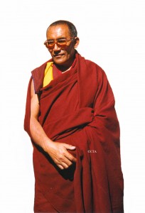 Chadrel Jampa Trinley Rinpoche