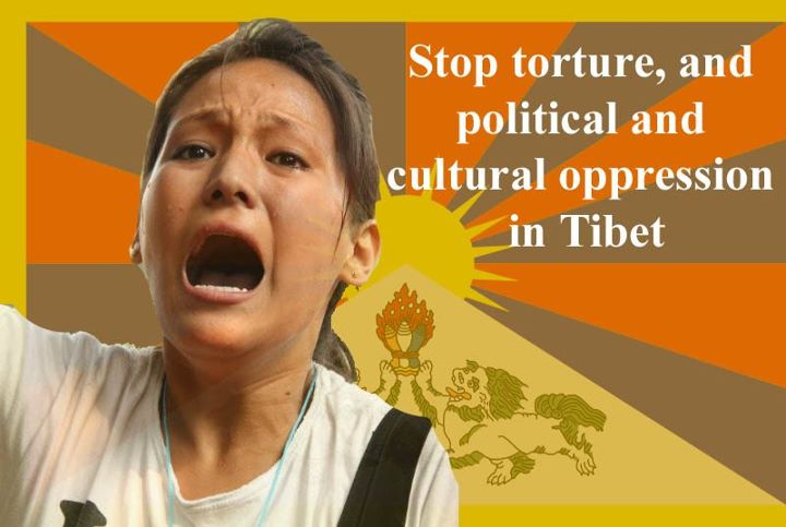 stop-torture