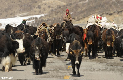 tibet