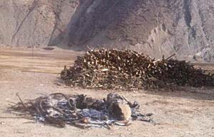 I resti carbonizzati di Lhamo Kyab dopo l'autoimmolazione
