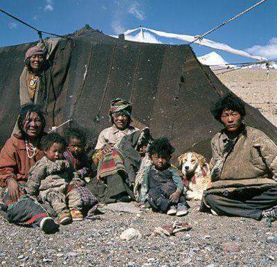 save-tibet