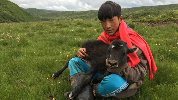 Many nomads feel a deep connection with their animals and the land