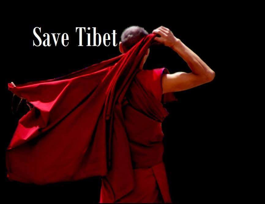 save-tibet1-copia