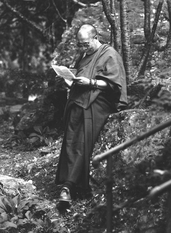 His Holiness the Fourteenth Dalai Lama: Renunciation has two directions of looking. On the one hand, with such an attitude, we look down at the suffering of samsara, with no interest in it, and we feel disgust and the wish to be rid of it completely. On the other hand, we look up at liberation and wish to attain it. 